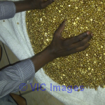 Pure Gold Nuggets On Best Price Contact +27625950878