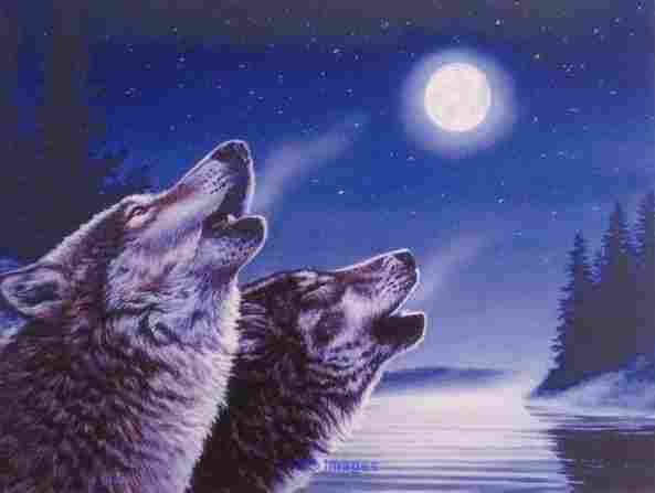 Purchase Lighted Canvas Paintings for Indoor decoration
