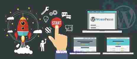 WordPress web developer
