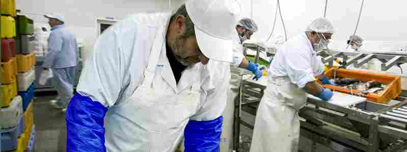 100 % Waterproof Industrial Adjustable Aprons