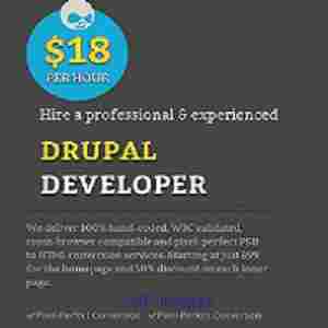 Hire a professional Drupal Developer
