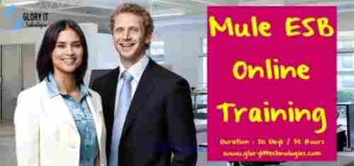 Mule ESB Online Training and Job Support Services