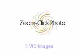 Zoom-Click Photography