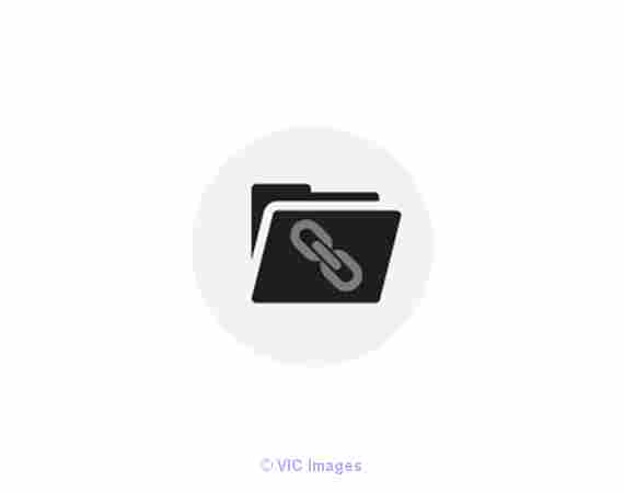 Link Disavow Services for Rank Gain By Unlimited Exposure, Toronto