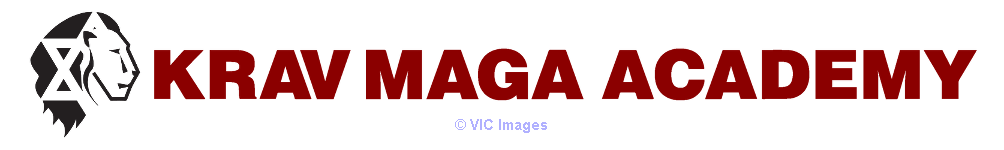krav maga classes