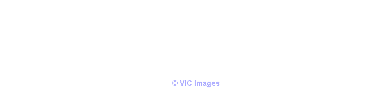Mental Health Recruitment