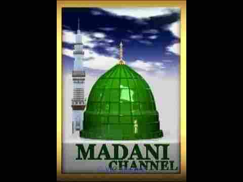 Read Quran online
