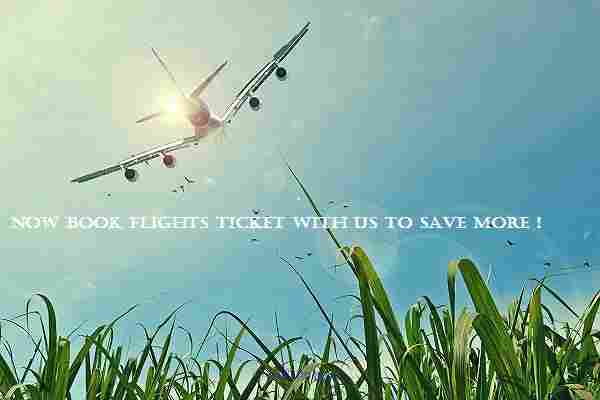 Save More! Book Cheap Flight To Tampa Now