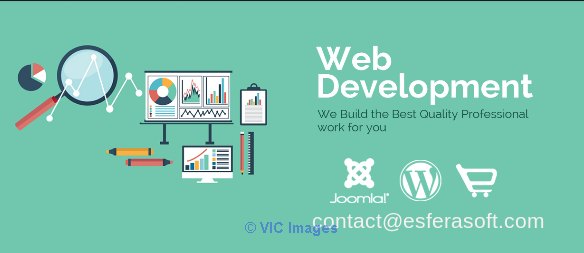 Specializing In Website Design, Bespoke Web Development & SEO