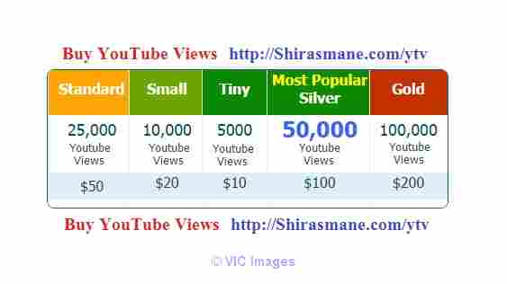 Buy Youtube Views at cheapest price just $10 for 5000 views