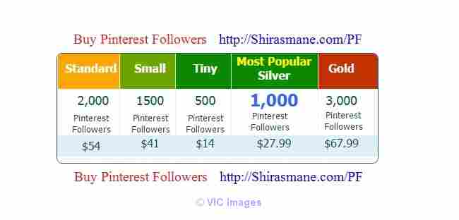Buy Pinterest Followers cheapest price $14 for 500 followers