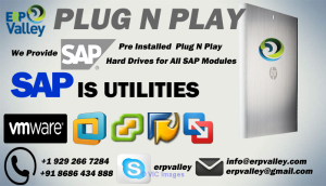 SAP IDES Server Access|SAP Online Training|SAP Training Videos|