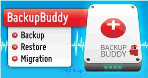 BackupBuddy plugin