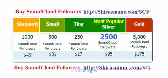 Buy Soundcloud Followers cheapest price $17 for 250 followers