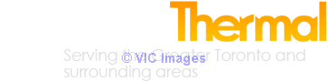 Allphase Thermal Solutions Inc.  Bed Bug Solution