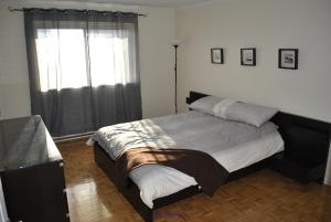 Premium Apartment for Rent Steps from Concordia University