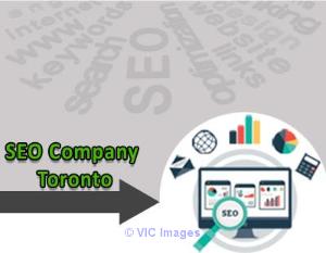 Cost Efficient yet Effective SEO Services
