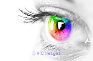 Website Design Gold Coast - Web Design