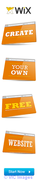 Choose Your Beautiful Website Template