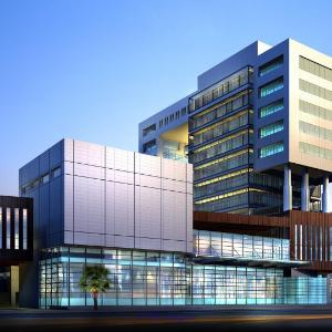 Painters Brisbane - High Rise Painting Services