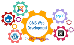 CMS Website Development Noida