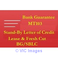 I have an excellent provider of BG, SBLC and Loans