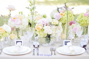 Royal wedding planner in udaipur - wedding in Udaipur