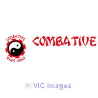 Combative Wing Chun Martial Arts