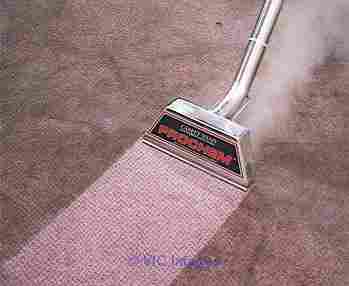 Professional Carpet Steam Cleaning Services in Melbourne, Roxburgh Par
