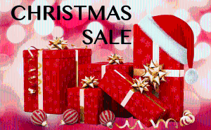Christmas special offer with daily sender