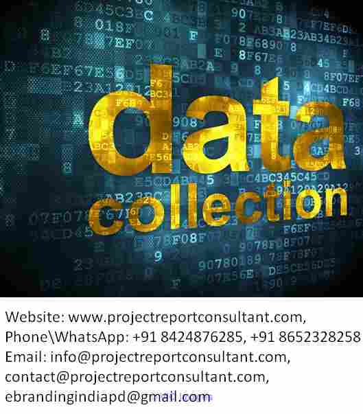 The Best Data Collection Services for Dissertation