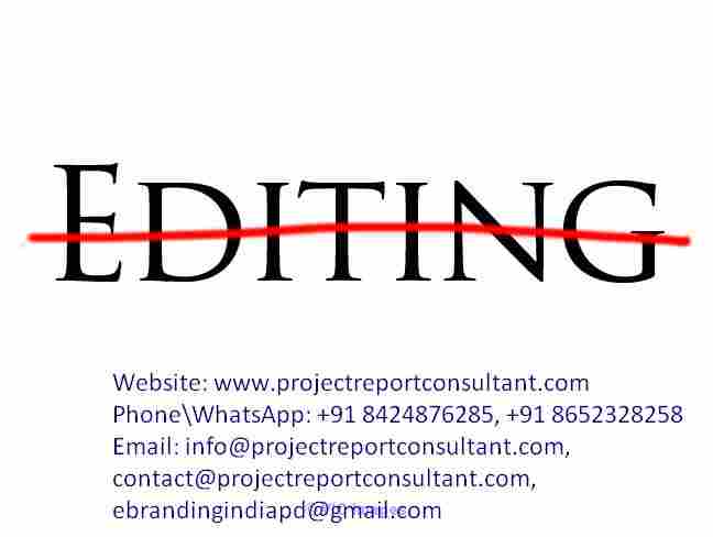 Premium Quality Dissertation Editing Business