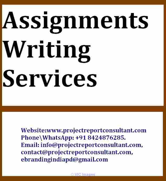 Assignments Writing Services