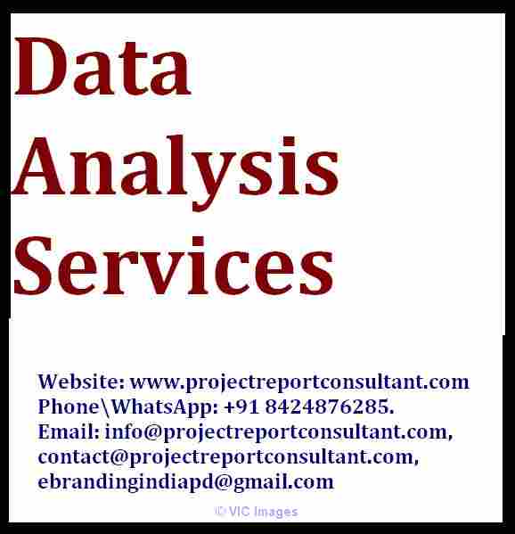 The Best in Class Data Analysis Services for Dissertation Writing