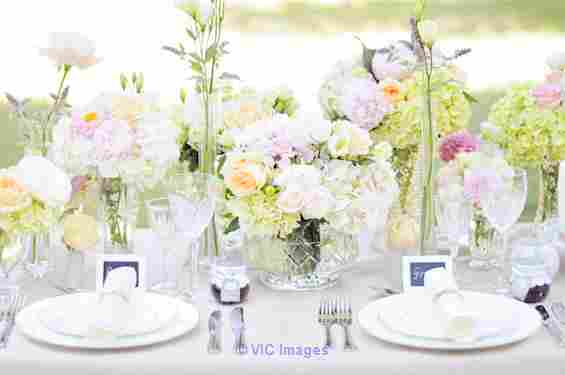 Wedding Planner in Goa - Destination wedding in Udaipur