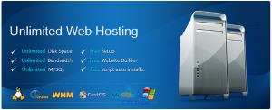 Affordable Windows Web Hosting