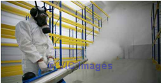 Pest and Weed Control Melbourne - termitesmelb.com.au