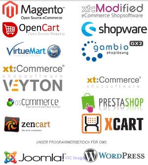 Webiprog - quality web design for your online store, 100% validity, adaptability websites.