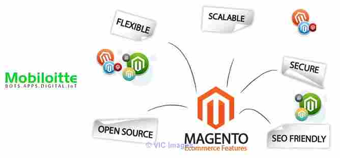 Magento Development Company India