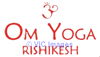 Certified Yoga Classes & Meditation  For Beginner In India