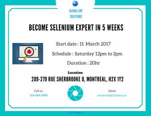 Selenium Training  in Montreal