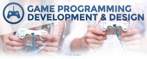 Hire Online Gaming Solution Providing Company