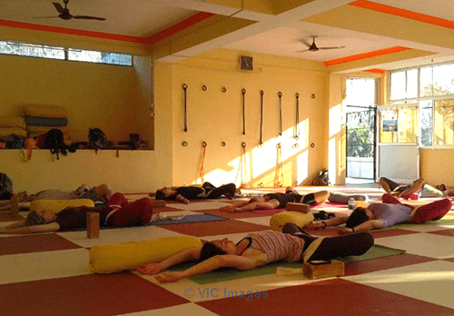 Cultivate And Nourish Effective Yoga Skills | Om Yoga In Rishikesh