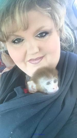 Amazing baby monkey available for adoption