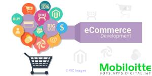 Custom E-commerce Solution Company