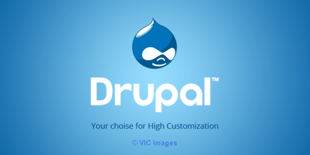 Hire Drupal Web Developers in India at Affordable Cost