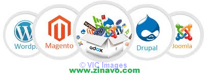 Web Design Bangalore