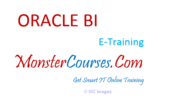 OBIEE Online Training, Oracle BI Training