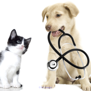 Veterinary Care Center
