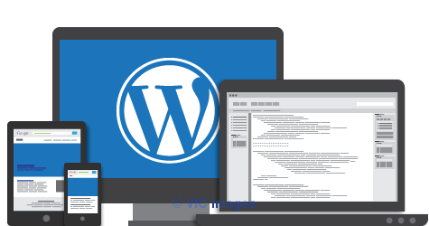 Hire Skilled Developers For Custom Wordpress Development